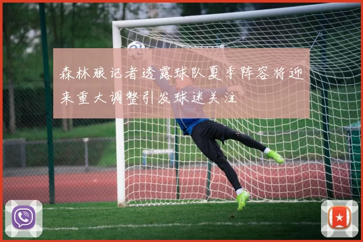 森林狼记者透露球队夏季阵容将迎来重大调整引发球迷关注